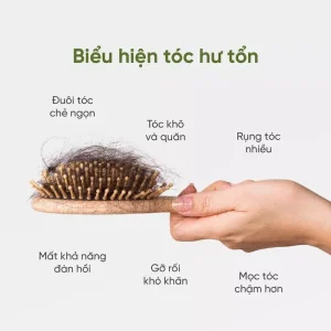 Dầu gội Đan Sâm