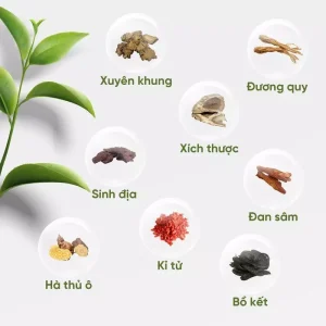 Dầu gội Đan Sâm dành cho tóc gàu nấm ngứa 4